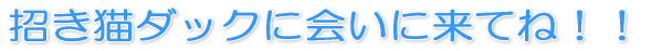 �����L�_�b�N�ɉ�ɗ��ĂˁI�I 